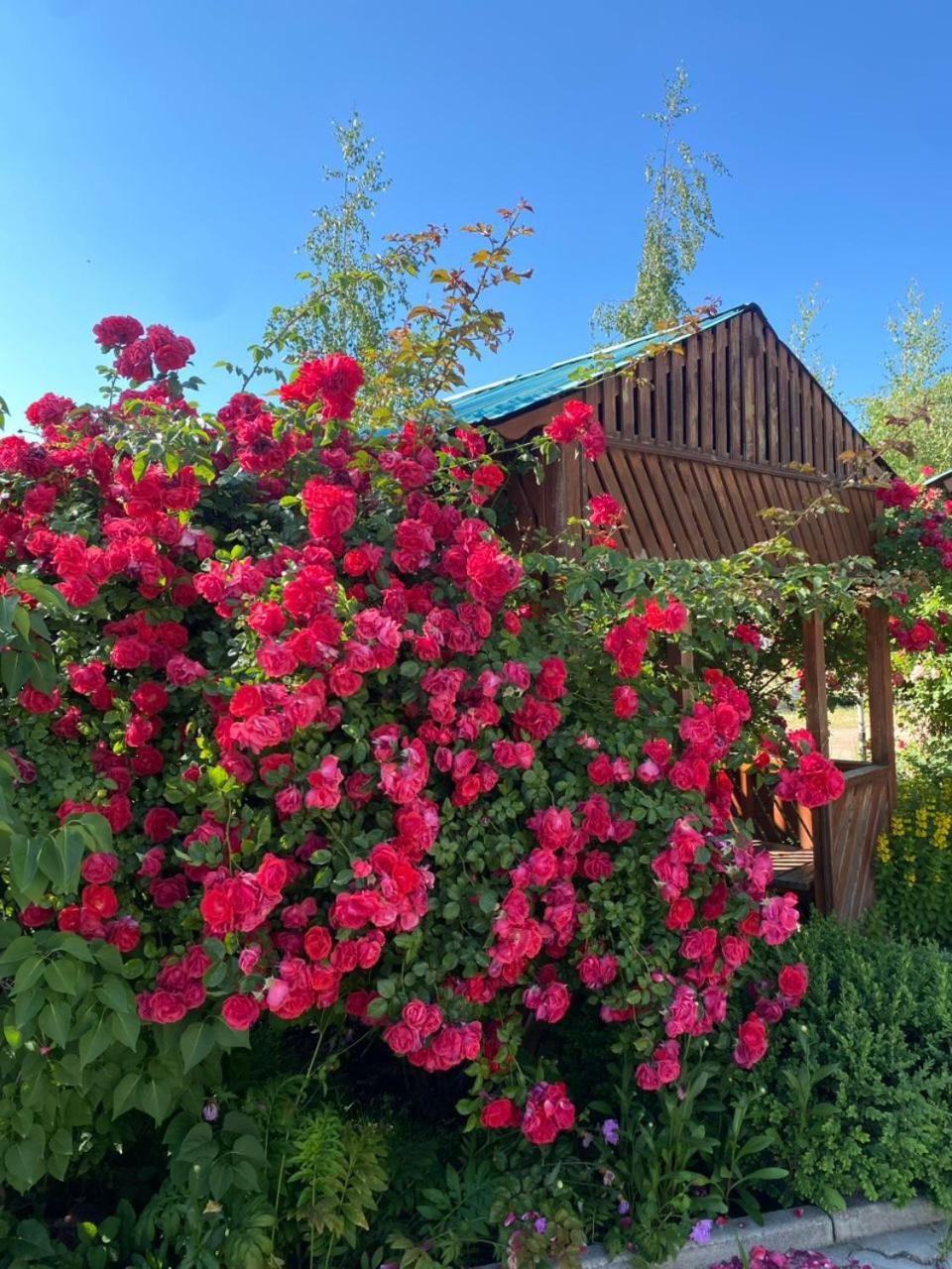 Tri Korony Hotell Cholpon-Ata Exteriör bild